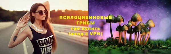 apvp Алексин