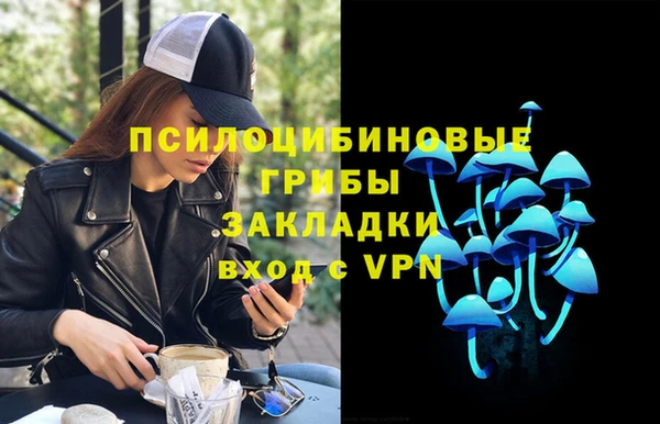 apvp Алексин