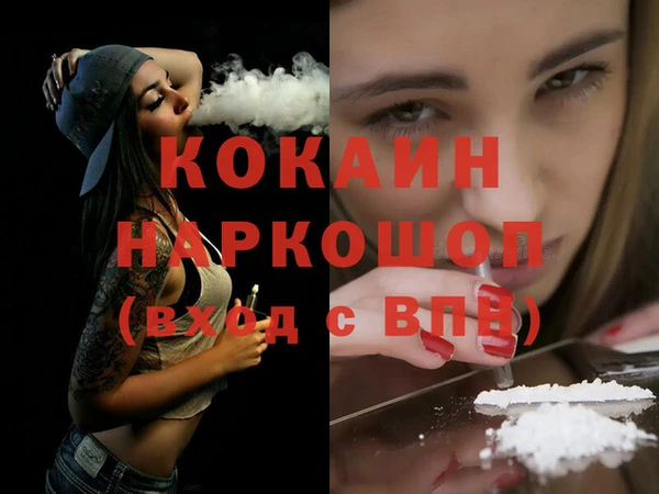 apvp Алексин