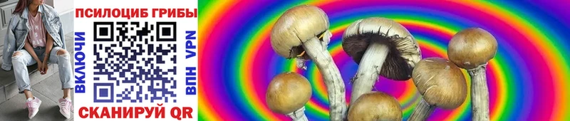 Галлюциногенные грибы Psilocybine cubensis Медынь