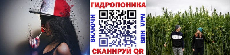 Шишки марихуана конопля  где продают наркотики  мега ONION  Медынь 